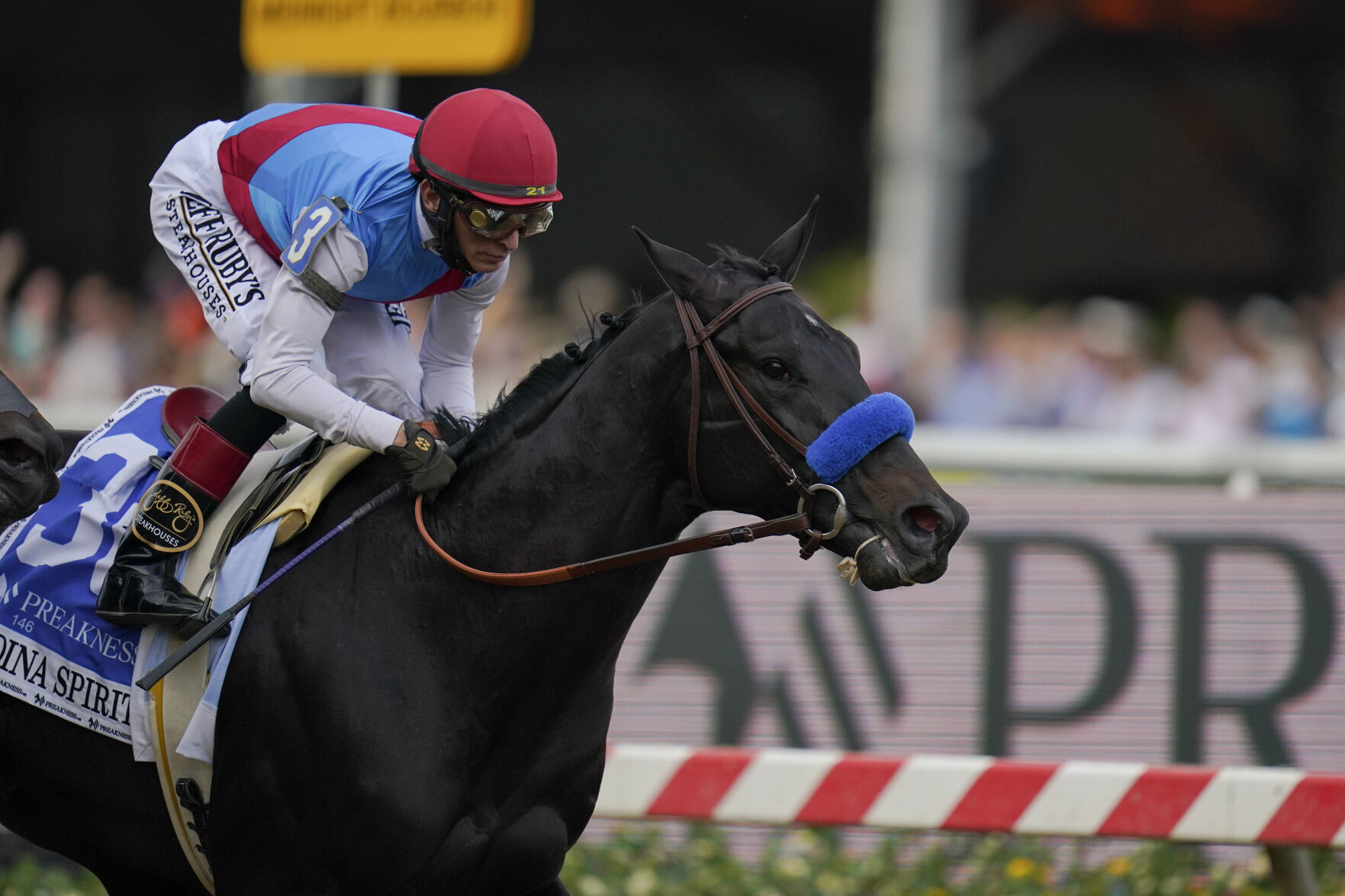 Preakness Stakes Horse Race